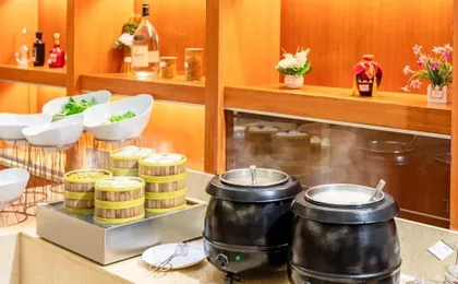 Vienna Hotel International Airport