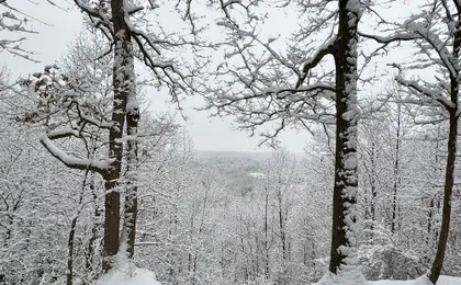 Valley Overlook