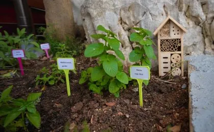 Vintage Garden Apartment