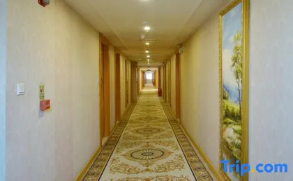 Vienna Hotel (Shenzhen Baoan Airport Pingluanshan Subway Station)