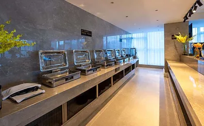 Vienna International Hotel Shenzhen Pingshan High Speed Railway Station Baolong Metro Station