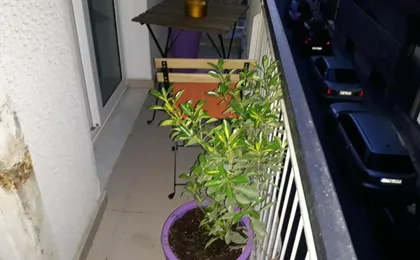Homy Cozy Studio Towards the Centre