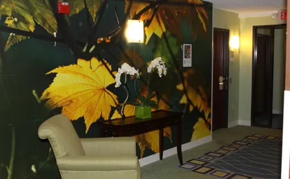 Hotel Trilogy Albany Airport, Tapestry Collection
