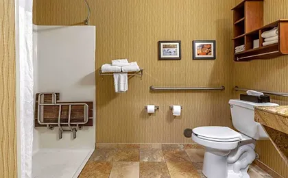 Comfort Inn Wings Stadium