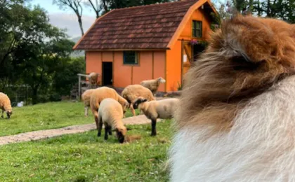 Pousada Maibe Amanhecer Na Serra