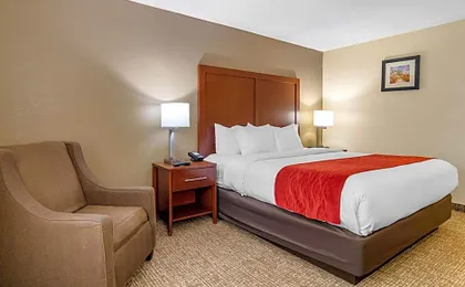 Comfort Inn & Suites Macon North I-75