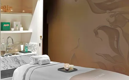 Baccarat Hotel and Residences New York