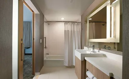 SpringHill Suites by Marriott Dallas DFW Airport South Centreport