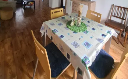 Apartman Daly
