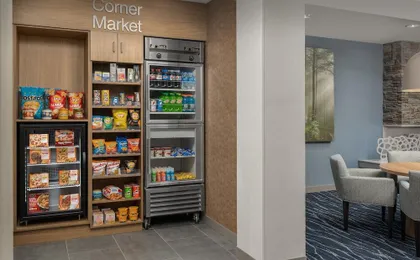 Fairfield Inn & Suites Roanoke Hollins/I-81