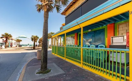 Terrapin Station I