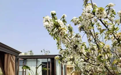 Shimao Impression Hotel