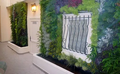 Hotel du Dragon