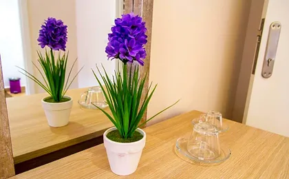 Hostal Barcelona Travel