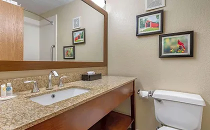 Comfort Inn Near Kokomo Speedway