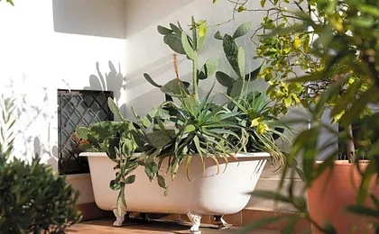 Il Giardino di Ballarò Boutique BB