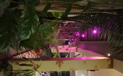 The Elite Apartment Hotel