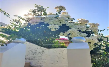 Entire Private Suite Sea Full View with Balcony, Shared Pool And Air Conditionin (Adults Only)