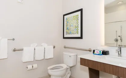 Holiday Inn Express & Suites Tampa -Usf-Busch Gardens