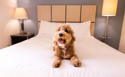 Sonesta Simply Suites Salt Lake City Airport