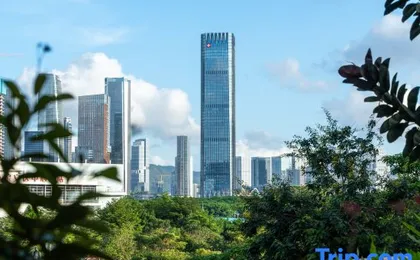 Vienna 3 Best Hotel (Shenzhen Qianhai Bao'an Center Happy Harbor Ferris Wheel)