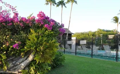 Ka Hale Kealoha