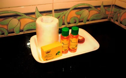 Fabhotel Gagan Inn
