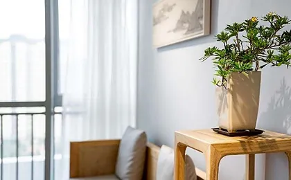 Boke Home Boutique Apartment