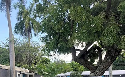 Bay Breeze Inn Bradenton Downtown