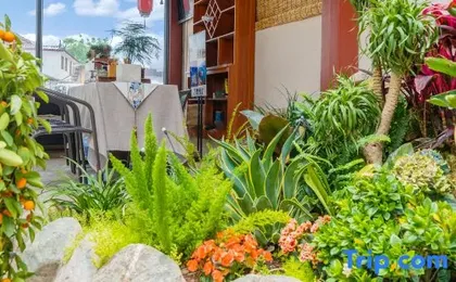 Wuqi Field · Countryside Star Stay (Shuhe Ancient Town Store)