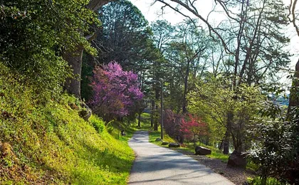 The Terrace Hotel at Lake Junaluska