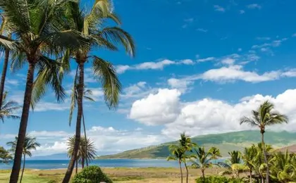 Boutique Oceanfront Studio Vistas