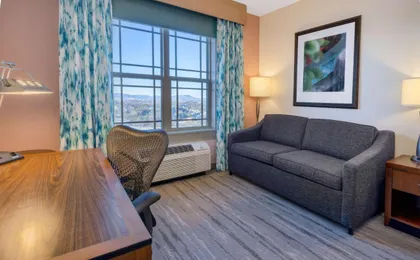 Hilton Garden Inn Roanoke (H)