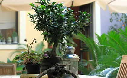 Casa Barbero Charme & Rooms