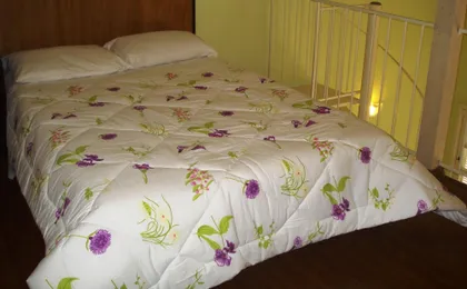 Pousada Villa Dos Geranios