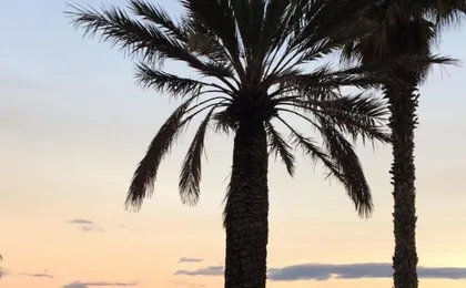 Lu&Cia Malaga Skyline