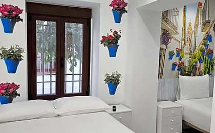 Nueva PENSION CIBELES