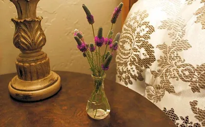 Hidden Meadows Bed and Breakfast
