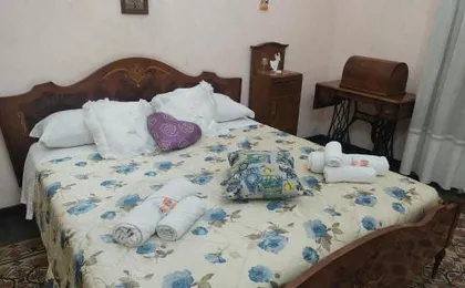 Zu Pippos House
