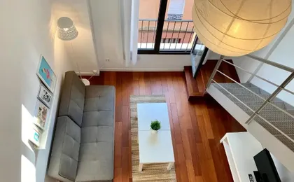 Petit Palomar