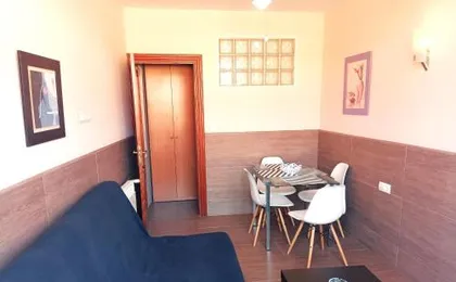 Flamencos del cerrado