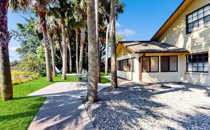 Port Orange Palm Tree Reverie