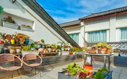 Dali Ruoxianju Bed and Breakfast (Foreigner Street Branch)