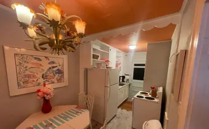 Funky Flamingo