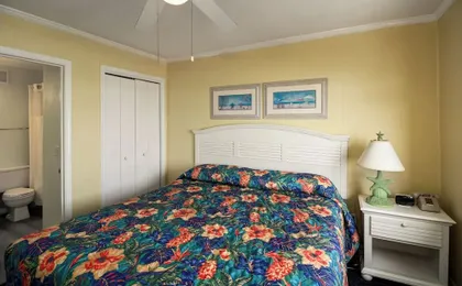 Ocean Forest Colony