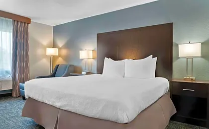 Best Western PLUS Flint Airport Inn & Suites