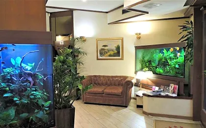 Hotel Accursio