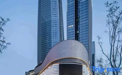 Weilai Light Luxury Meisu (Chongqing Central Park Branch)