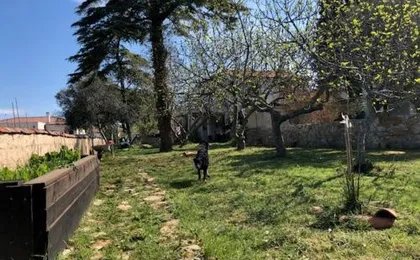 Apartman Jasmina