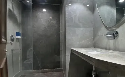 Hotel Sapphire House Paharganj